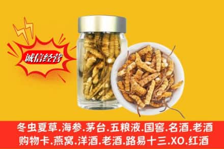 亳州市涡阳回收散虫草