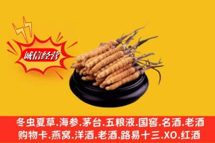亳州市涡阳高价上门回收虫草多少钱每克